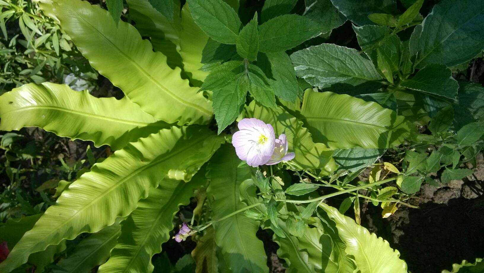 亚洲乱码中文字幕久久孕妇黑人